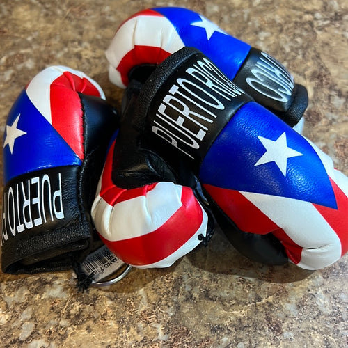 Puerto Rico 🇵🇷 Glove 🥊